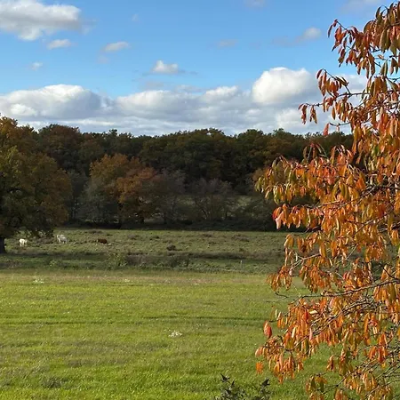 Convivial A Pour Sejours Familiaux Ou Entre Amis - Fr-1-489-601 Chapeau